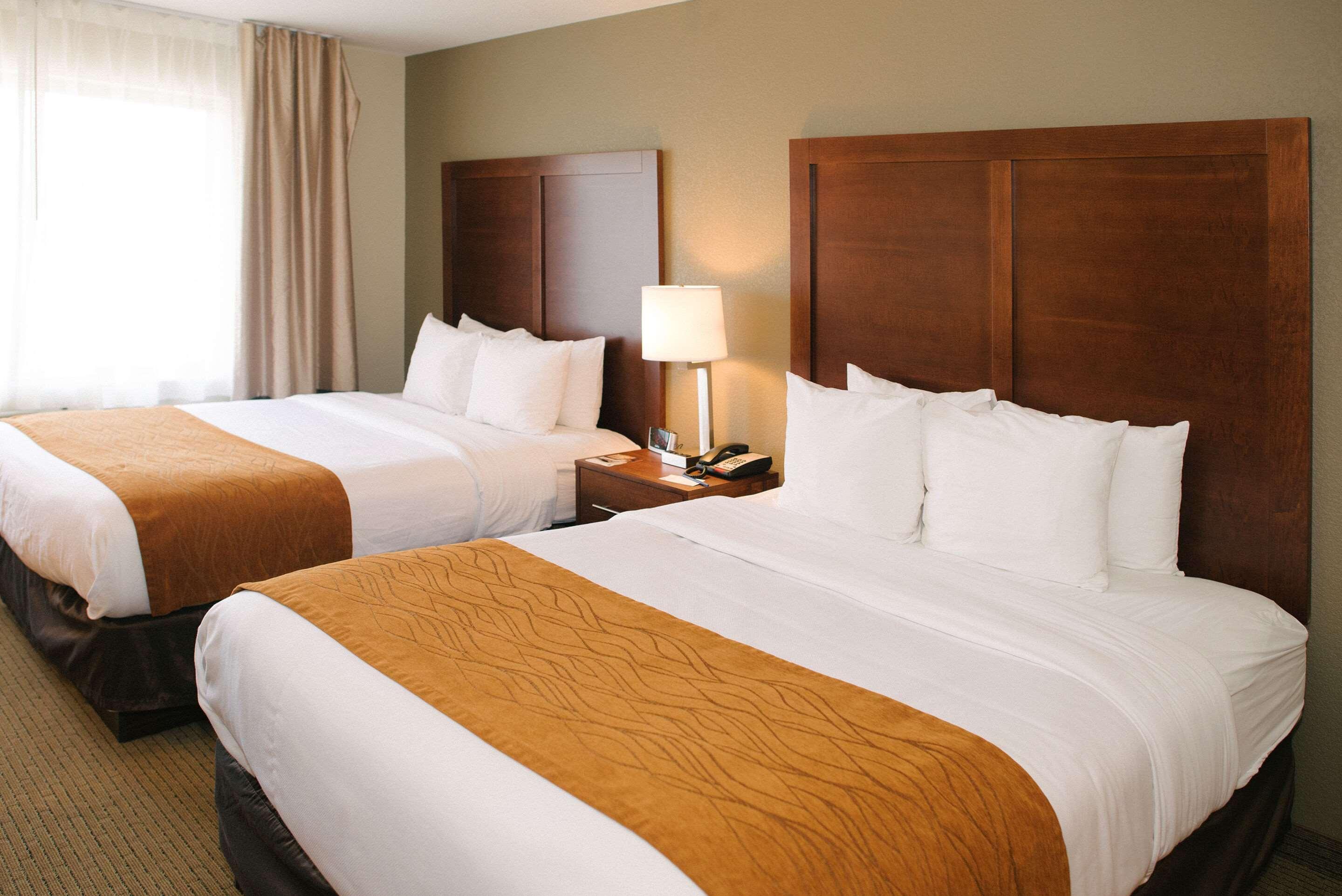 Comfort Inn & Suites Custer Dış mekan fotoğraf