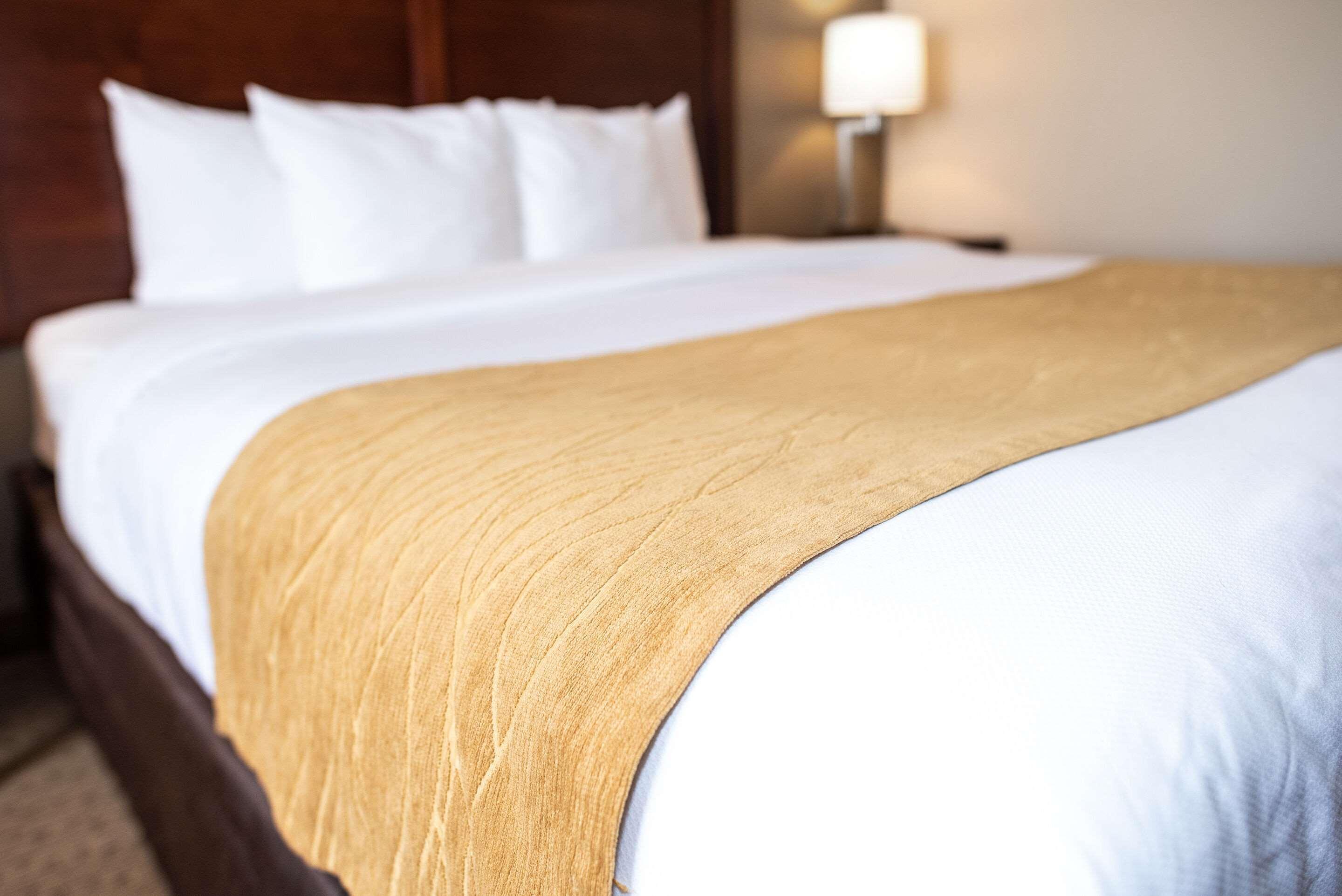 Comfort Inn & Suites Custer Dış mekan fotoğraf